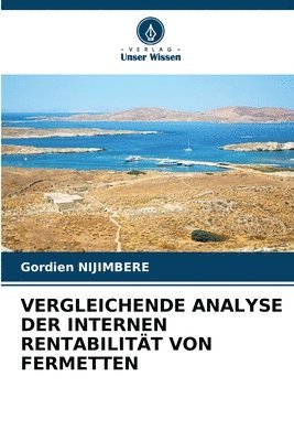 bokomslag Vergleichende Analyse Der Internen Rentabilitt Von Fermetten