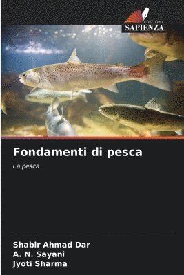 Fondamenti di pesca 1