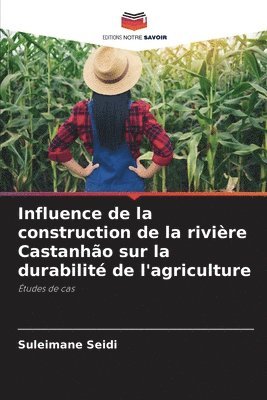 bokomslag Influence de la construction de la rivire Castanho sur la durabilit de l'agriculture