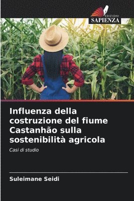 bokomslag Influenza della costruzione del fiume Castanho sulla sostenibilit agricola