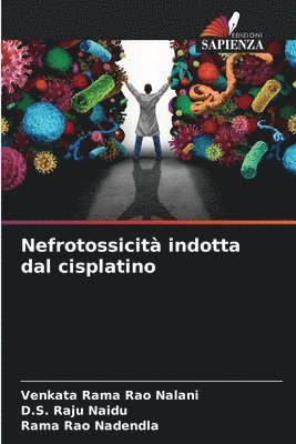 bokomslag Nefrotossicit indotta dal cisplatino