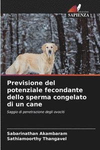 bokomslag Previsione del potenziale fecondante dello sperma congelato di un cane