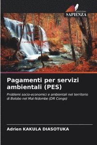 bokomslag Pagamenti per servizi ambientali (PES)