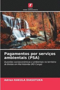 bokomslag Pagamentos por servios ambientais (PSA)