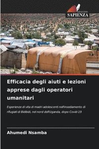 bokomslag Efficacia degli aiuti e lezioni apprese dagli operatori umanitari