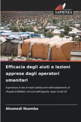 bokomslag Efficacia degli aiuti e lezioni apprese dagli operatori umanitari