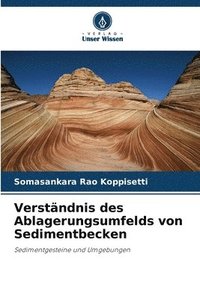 bokomslag Verstndnis des Ablagerungsumfelds von Sedimentbecken