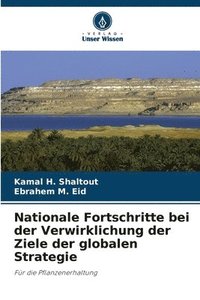 bokomslag Nationale Fortschritte bei der Verwirklichung der Ziele der globalen Strategie