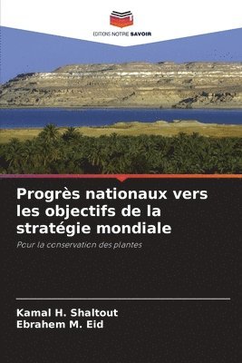 bokomslag Progrs nationaux vers les objectifs de la stratgie mondiale