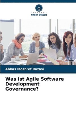 bokomslag Was ist Agile Software Development Governance?