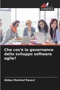 bokomslag Che cos' la governance dello sviluppo software agile?