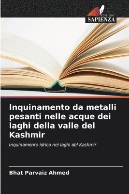 bokomslag Inquinamento da metalli pesanti nelle acque dei laghi della valle del Kashmir