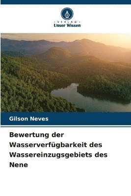 bokomslag Bewertung der Wasserverfgbarkeit des Wassereinzugsgebiets des Nene