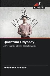 bokomslag Quantum Odyssey