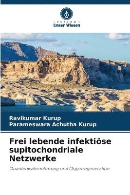 Frei lebende infektise supitochondriale Netzwerke 1