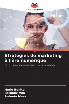 bokomslag Stratgies de marketing  l're numrique