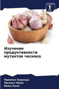 bokomslag &#1048;&#1079;&#1091;&#1095;&#1077;&#1085;&#1080;&#1077; &#1087;&#1088;&#1086;&#1076;&#1091;&#1082;&#1090;&#1080;&#1074;&#1085;&#1086;&#1089;&#1090;&#1080;