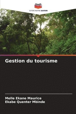 bokomslag Gestion du tourisme