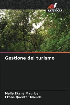 bokomslag Gestione del turismo