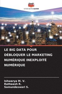 bokomslag Le Big Data Pour Dbloquer Le Marketing Numrique Inexploit Numrique