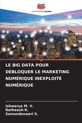 Le Big Data Pour Dbloquer Le Marketing Numrique Inexploit Numrique 1