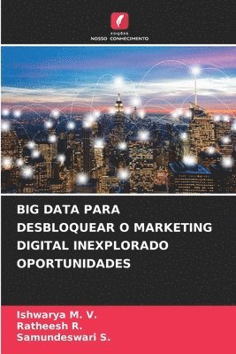 Big Data Para Desbloquear O Marketing Digital Inexplorado Oportunidades 1