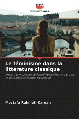 bokomslag Le fminisme dans la littrature classique