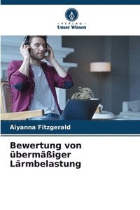 bokomslag Bewertung von übermäßiger Lärmbelastung