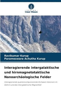 bokomslag Interagierende intergalaktische und hirnmagnetotaktische Nanoarchologische Felder