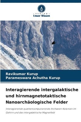 Interagierende intergalaktische und hirnmagnetotaktische Nanoarchologische Felder 1