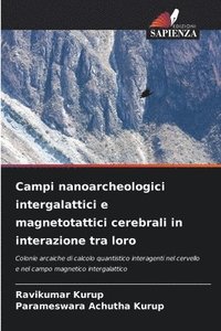 bokomslag Campi nanoarcheologici intergalattici e magnetotattici cerebrali in interazione tra loro