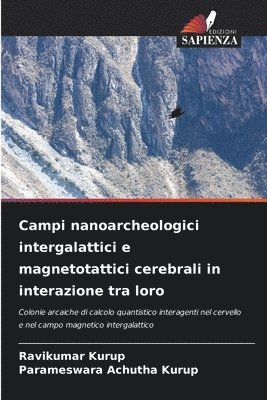 bokomslag Campi nanoarcheologici intergalattici e magnetotattici cerebrali in interazione tra loro