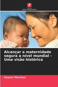 bokomslag Alcanar a maternidade segura a nvel mundial - Uma viso histrica