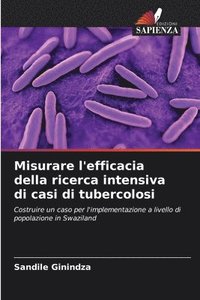 bokomslag Misurare l'efficacia della ricerca intensiva di casi di tubercolosi