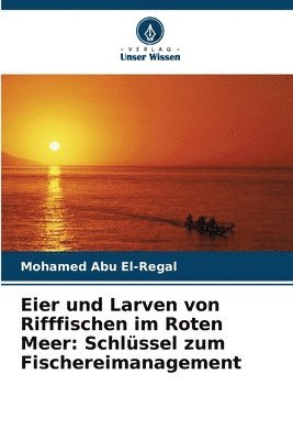 Eier und Larven von Rifffischen im Roten Meer 1