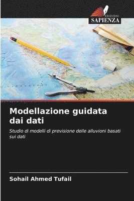 bokomslag Modellazione guidata dai dati