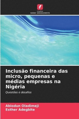 Incluso financeira das micro, pequenas e mdias empresas na Nigria 1