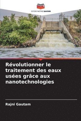 bokomslag Rvolutionner le traitement des eaux uses grce aux nanotechnologies