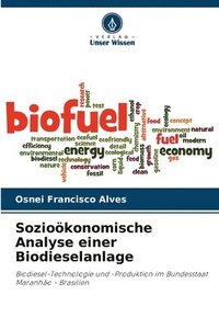 bokomslag Soziokonomische Analyse einer Biodieselanlage