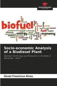 bokomslag Socio-economic Analysis of a Biodiesel Plant
