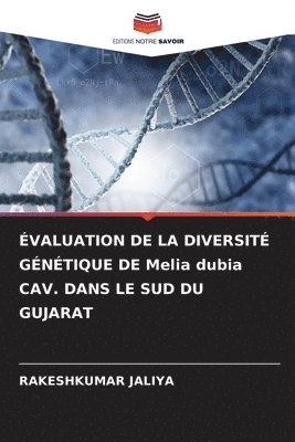 bokomslag VALUATION DE LA DIVERSIT GNTIQUE DE Melia dubia CAV. DANS LE SUD DU GUJARAT