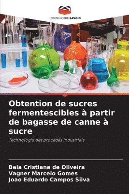 bokomslag Obtention de sucres fermentescibles  partir de bagasse de canne  sucre