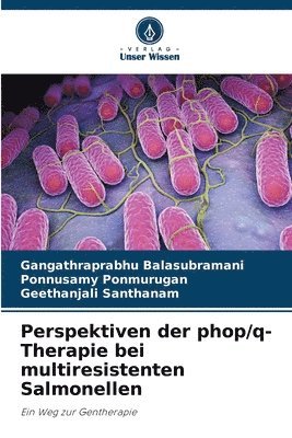 bokomslag Perspektiven der phop/q-Therapie bei multiresistenten Salmonellen