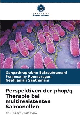 Perspektiven der phop/q-Therapie bei multiresistenten Salmonellen
