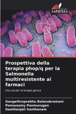 Prospettiva della terapia phop/q per la Salmonella multiresistente ai farmaci 1