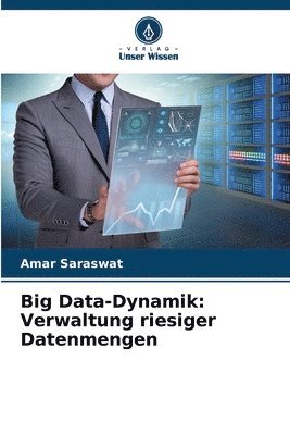 bokomslag Big Data-Dynamik