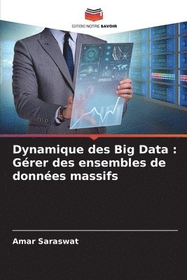 bokomslag Dynamique des Big Data