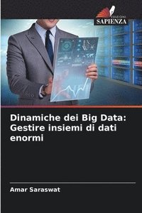 bokomslag Dinamiche dei Big Data