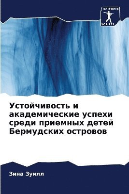 Устойчивость и академические успехи сред