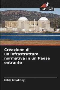 bokomslag Creazione di un'infrastruttura normativa in un Paese entrante